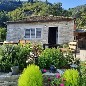 Bujtina Lugina E Vjoses Lodge